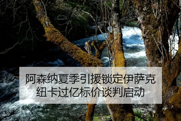 阿森纳夏季引援锁定伊萨克 纽卡过亿标价谈判启动